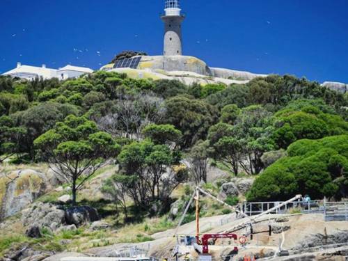 Seal Swim Australia & Montague Island Discovery To