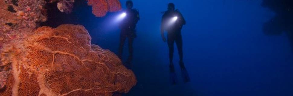 MHM Blue World Red Sea - Sharm