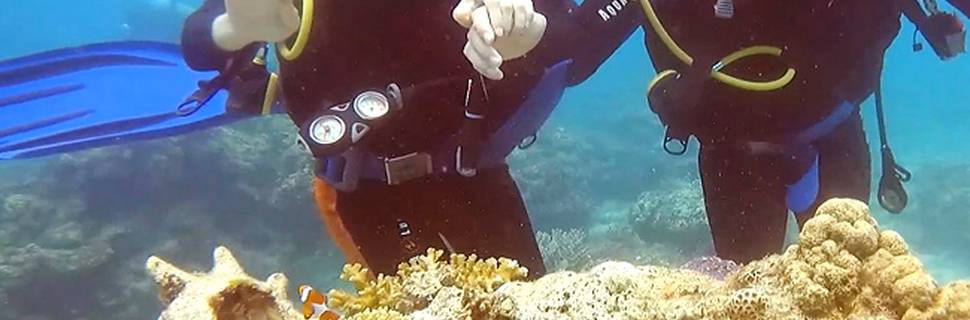 Yegrina Dive Resort