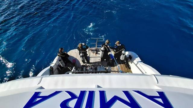 Big Blue Diving Club