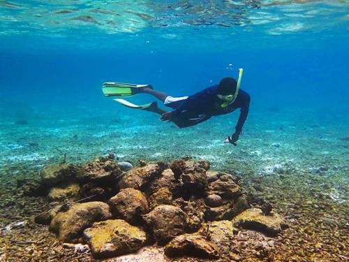 Best Dives Centara Mirage Lagoon