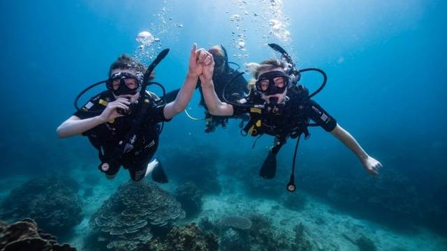 Isla Tortuga Divers
