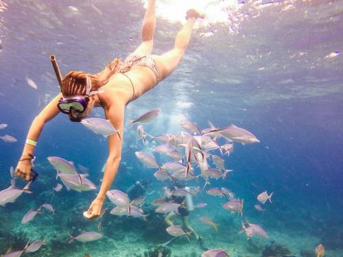 Passion Paradise Adventures Scuba Diving & Snorkeling Day Tours