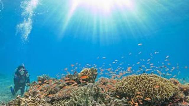 DIVE STATION YUIMARE