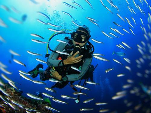 Gold Coast Dive Adventures