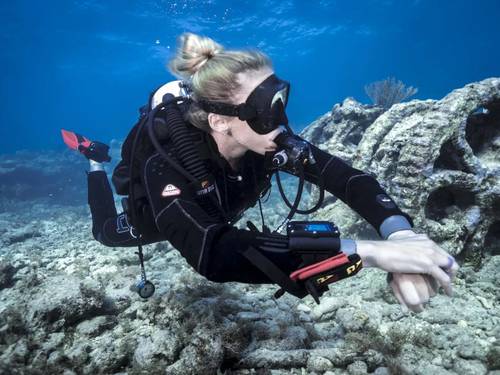 Rock Diving