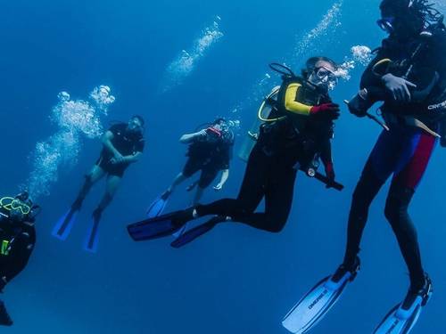 One Love Scuba Center