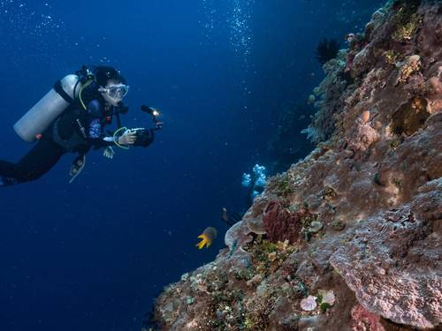 Compass Diving