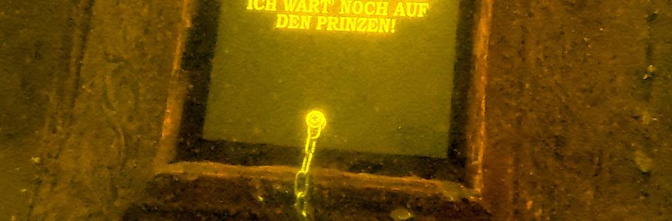 SGS Tauchen