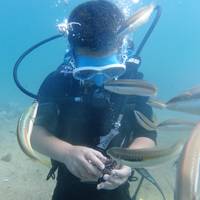 Ionian Divers