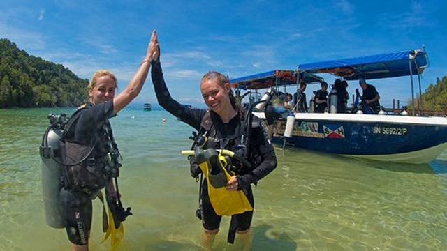 Downbelow Marine & Wildlife Adventures