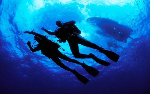 Story and development of diving