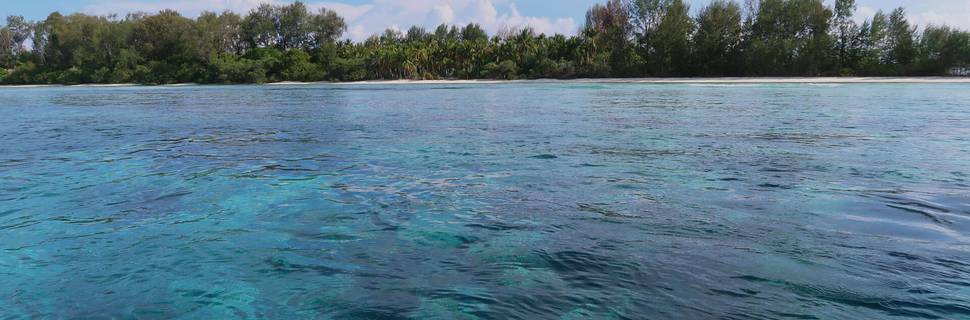Tabari Dive Lodge