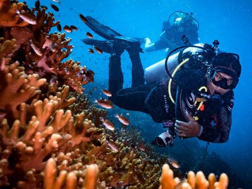 New Heaven Dive School and Resort