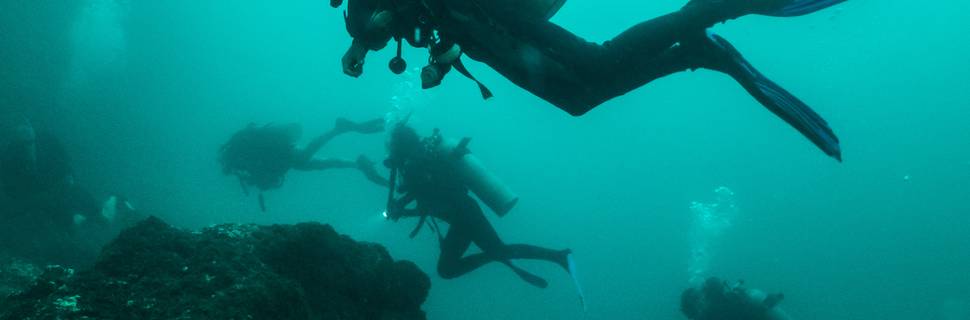 Summer-Salt Dive Center