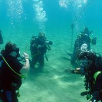Diwa Dominicana 5 Star diving Center