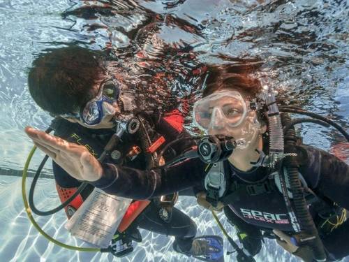 Dive Pro Group