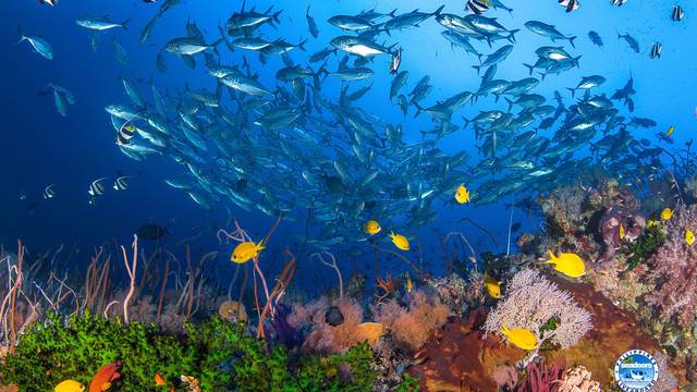 Seadoors Liveaboard