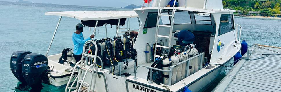 Dive Antilles
