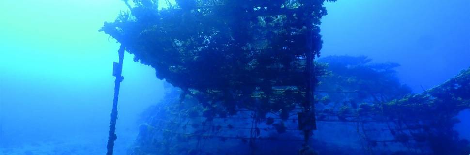 Ahla Diving Club PADI 5 STAR IDC