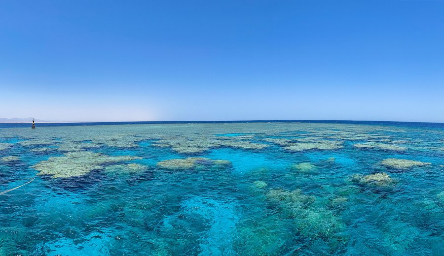 Diving in Egypt: An Honest Guide to the Red Sea