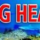 Hatts Diving Headquarters, Inc.