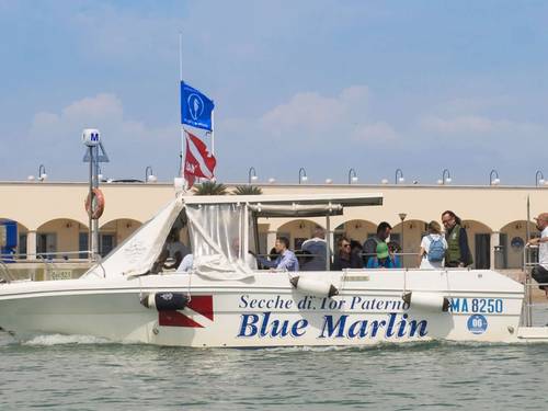 Blue Marlin Diving Center