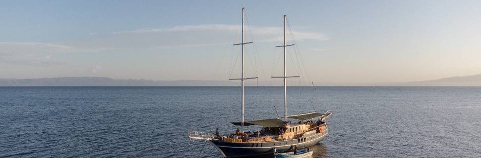Dolphin Excursions SARL