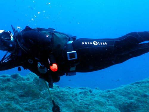 Guru Dive Dalış Eğitim Merkezi