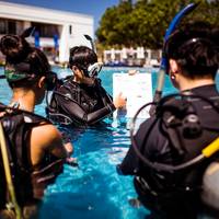 L.N.T.O Ocean Dive
