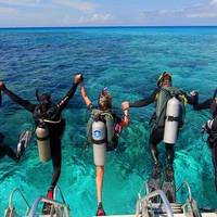 Blue Sea Diving and Water Sports