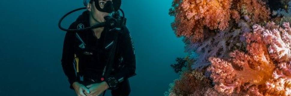 Dive Butler Finolhu