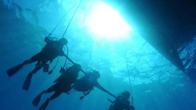 Nemo Dive Club