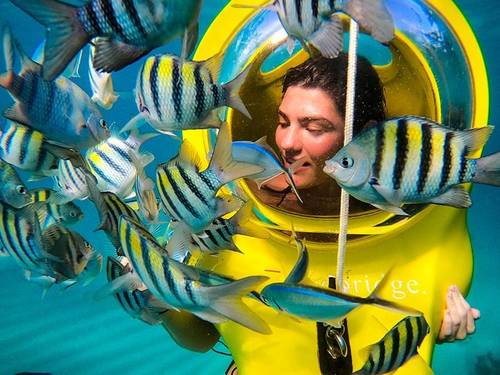 Scuba Doo