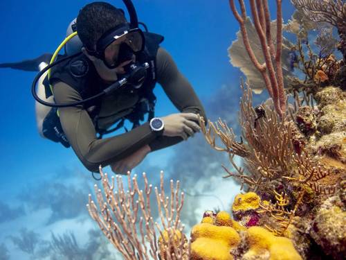 Airlie Beach Dive Centre