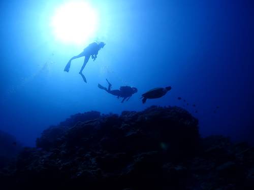 OKINAWA DIVING SERVICE Lagoon