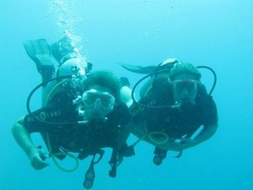 Octopus World Dahab