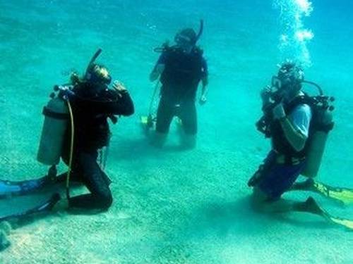 Seahorse Dive Shop