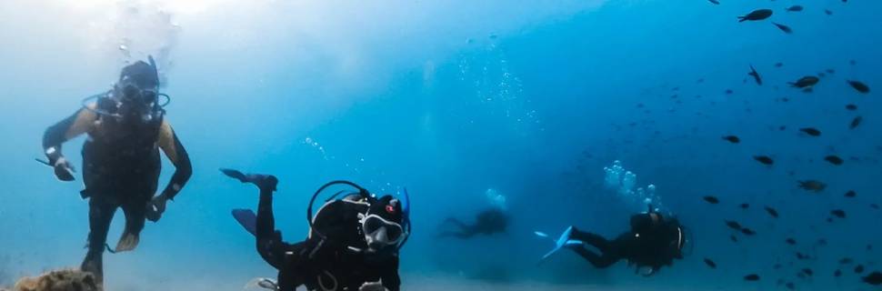 Dive & Dive