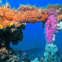 Central Coast Divers