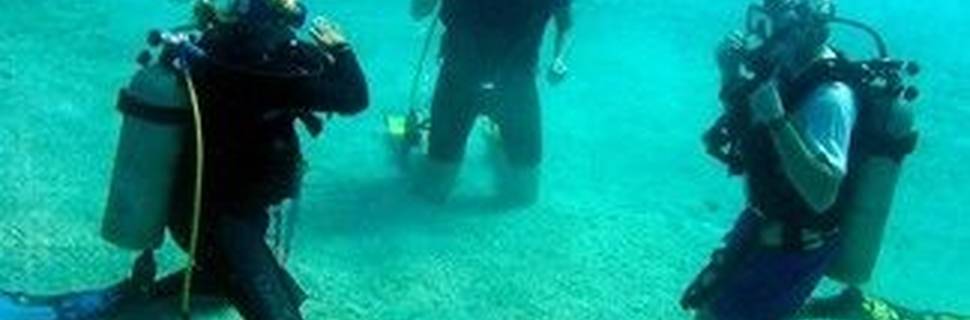 Seahorse Dive Shop