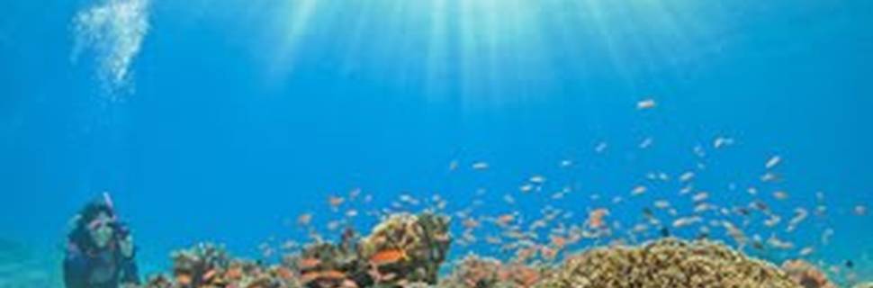 DIVE STATION YUIMARE