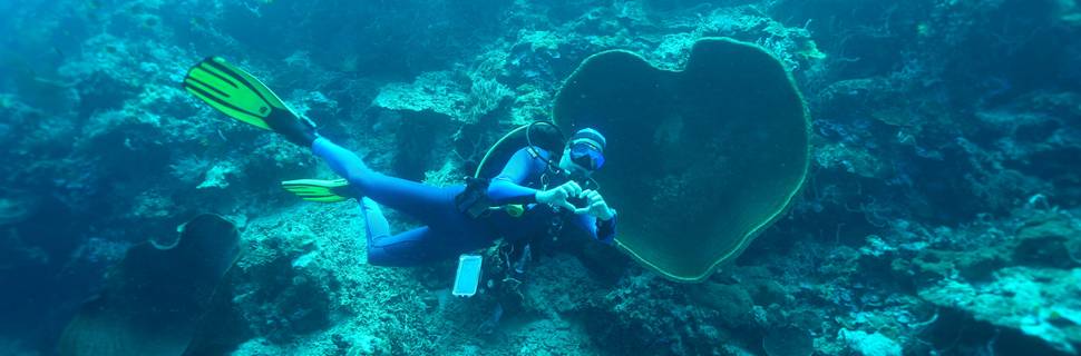 Dive Centre Dessa