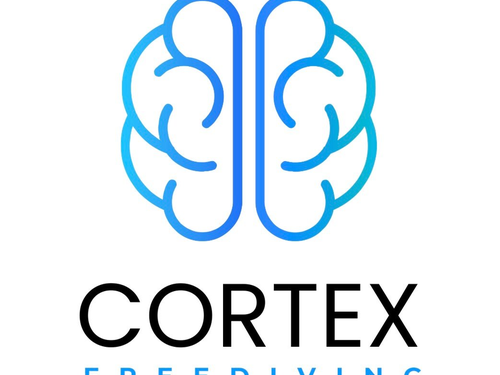 Cortex Freediving Phuket