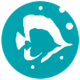 Two Fish Divers Amed
