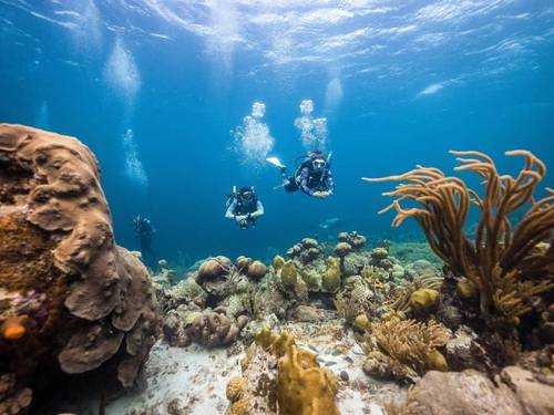 Barefoot Dive Center Cozumel