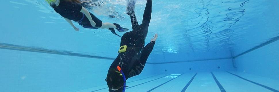 Scuba Fusion