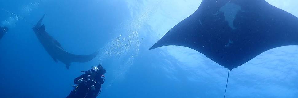 Bali Diving School | Scuba Diving Course