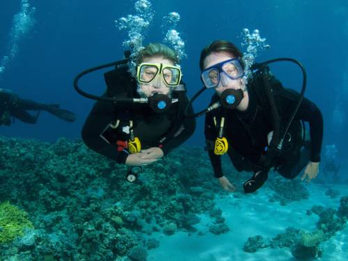 Let's Dive Center