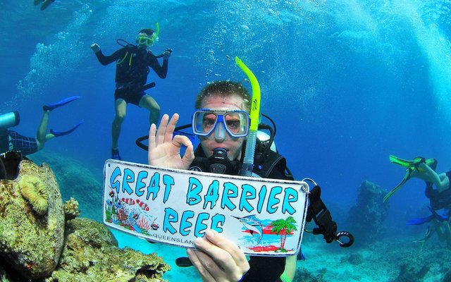 About Diving the Great Barrier Reef